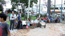 Sorteio Natal Premiado 2011-2012 Sorteio Natal Premiado 2011-2012